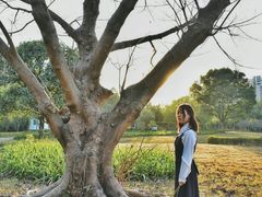 -南沙蒲洲花园