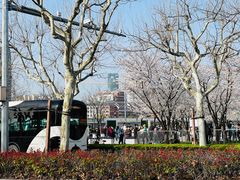 -龙美术馆西岸馆-停车场