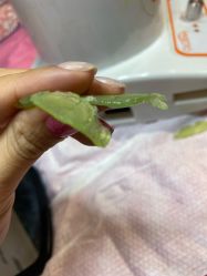 -QueenNail日式美甲美睫