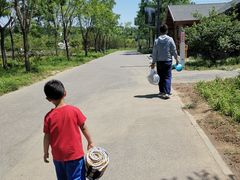 -东郊湿地公园