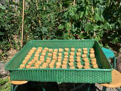 -柞水乾佑红门家菜