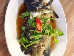 石斑鱼-拉威海鲜市场
