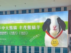 -丰茂烤串(公园店)