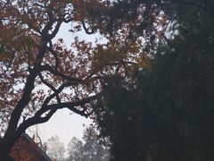 -南岳衡山风景名胜区-南岳大庙