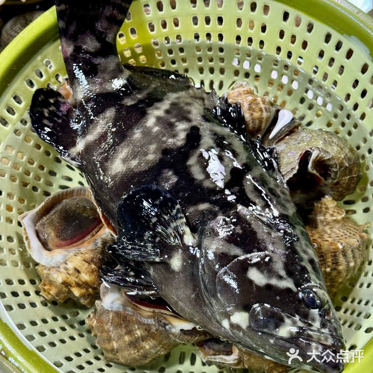 小青龙，大螃蟹，生蚝，鲍鱼，海螺！这一堆才花了三百多