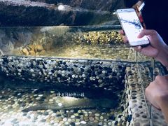 景点-龙泉岩寺庙群