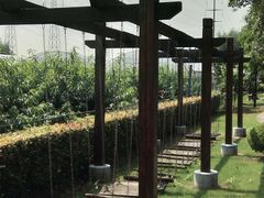 -宏泰园蔬果专业合作社