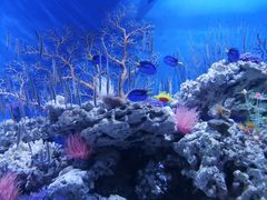 -成都浩海立方海洋公园