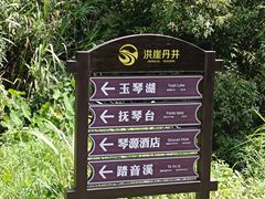 -洪崖丹井