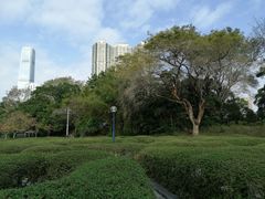 -九龙公园