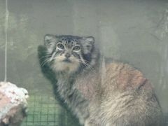 -青藏高原野生动物园