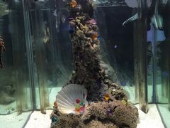 -太平洋海底世界