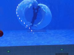 -石家庄极地海洋世界