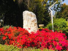 -人民公园(罗湖区)