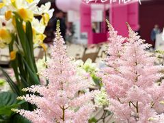 -上海长风大悦城