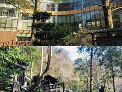 -天明山温泉大酒店