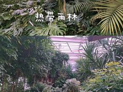 -石家庄市植物园
