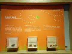 -陕西自然博物馆