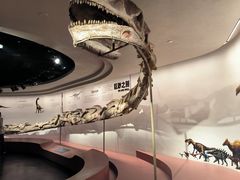 -自贡恐龙博物馆