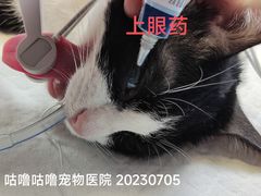 -咕噜咕噜宠物医院·CT·肿瘤科·骨科(前海院)