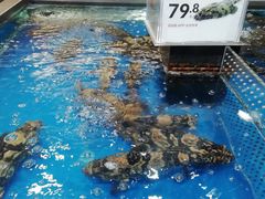 -盒马鲜生(红莲店)