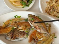 -阳江餐厅·30年老字号·粤菜海鲜大排档