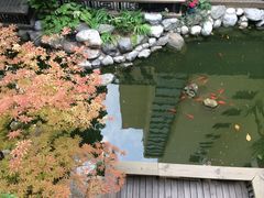 iphone_upload_pic-北京建国饭店