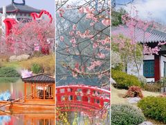 -武汉大学-樱园