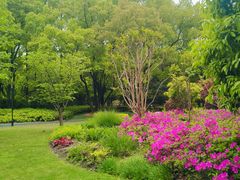 -徐家汇源景区-衡山公园