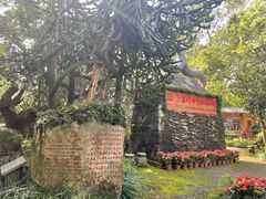 -海口火山口国家地质公园