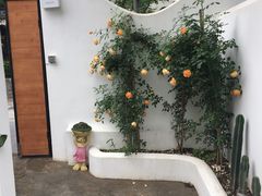 -几静cafe(基湖店)