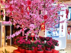 -上海龙之梦万丽酒店