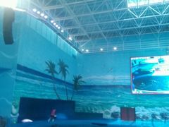 -多彩贵州城极地海洋世界