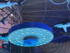 -烟台海昌鲸鲨海洋公园