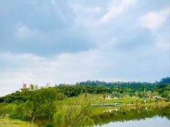 -东莞植物园
