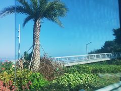 -深圳湾公园(南山区)