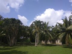 -红色娘子军纪念园