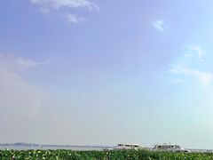 -莲花岛景区