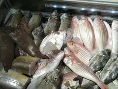 -龙记烤鸭店(新民路店)