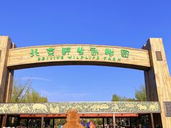 -北京野生动物园