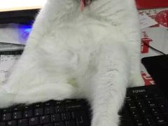 艾泽瑞斯图文快印设计(艾泽瑞斯打印复印店)-艾泽瑞斯图文快印打印复印证件照设计名片画册(艾泽瑞斯打印复印洗照片店)