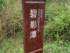 -长田漾湿地公园