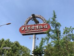 -自贡恐龙博物馆