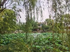 -观唐（国际）度假村温泉