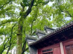 -天一阁博物院