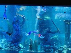 -哈尔滨波塞冬海底世界