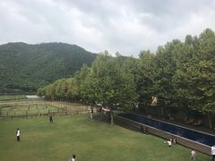 -裸心谷·裸心味餐厅