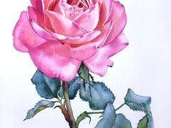 -八哥美术·成人美术画室(总校区)