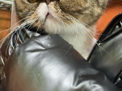 -酷狗靓猫宠物·洗护·美容·寄养(航北路店)