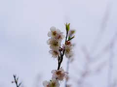 -福建天门山
